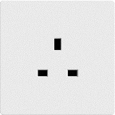 فيش مفرد ابيض 13 امبير